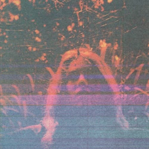 Peripheral Vision